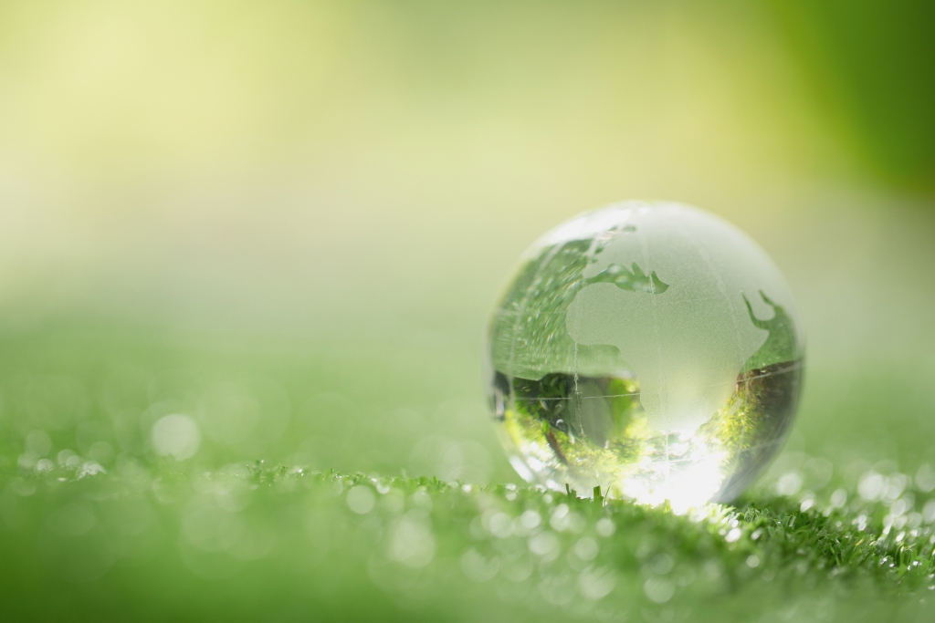 Close up of crystal globe resting on grass in a forest – environ naturaleza