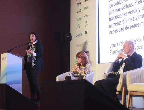 Alicia Valero participa en el 7º Congreso Recuwaste Resources and Life: «La Economía Circular de los Recursos: anticiparse al futuro»