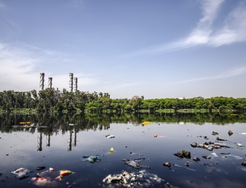 Ecocidio y obsolescencia programada: cómo nuestro modelo de consumo condena al planeta